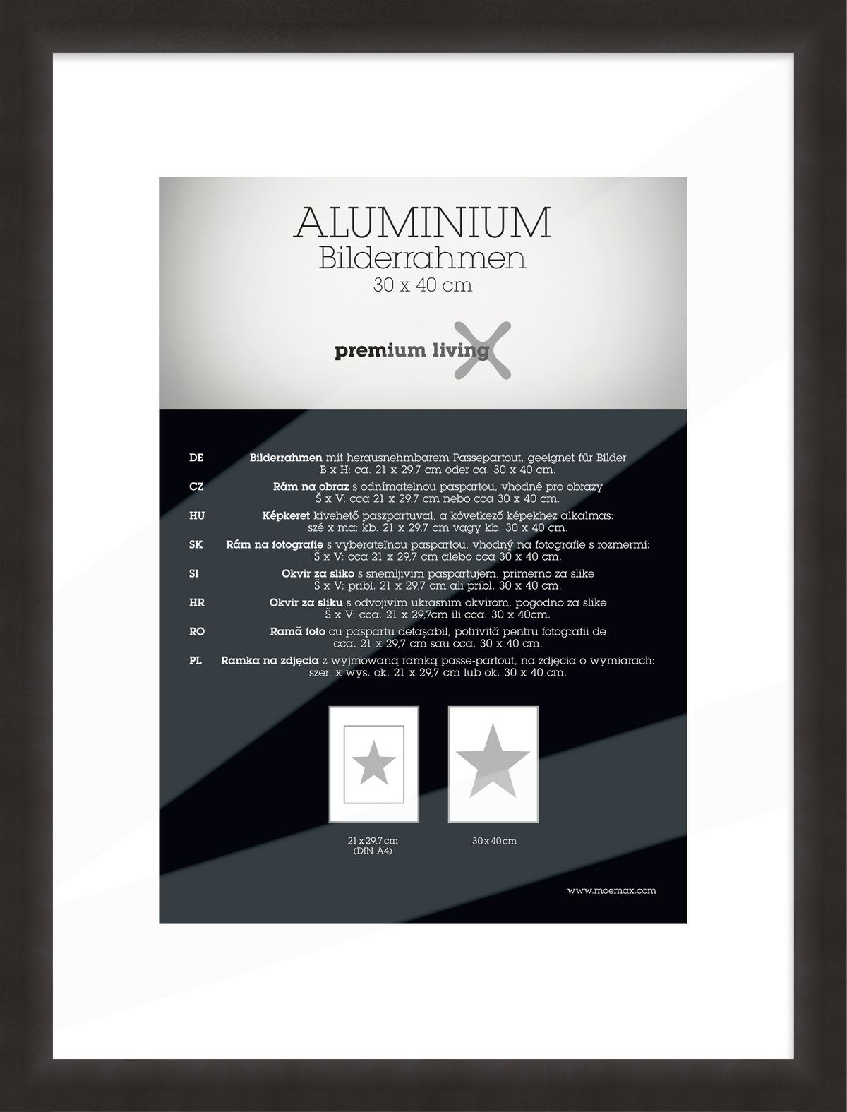 Képkeret Kb. 30x40cm Platinum - fekete, Basics, fém (33,1/43,1/2.2cm) - Premium Living