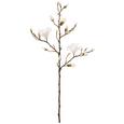 Magnolija Magnolie - bijela/smeđa, Basics, plastika (102cm) Magnolija Magnolie - bijela/smeđa, Basics, plastika (102cm)
