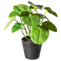 Plantă artificială PILEABUSCH II -PAZ- - maro/verde, Basics, plastic (21cm) - Modern Living