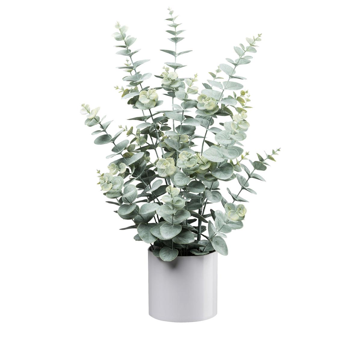 Kunstpflanze Eukalyptus I Grau/Grün - Weiß/Grau, LIFESTYLE, Kunststoff (66cm) - Mömax