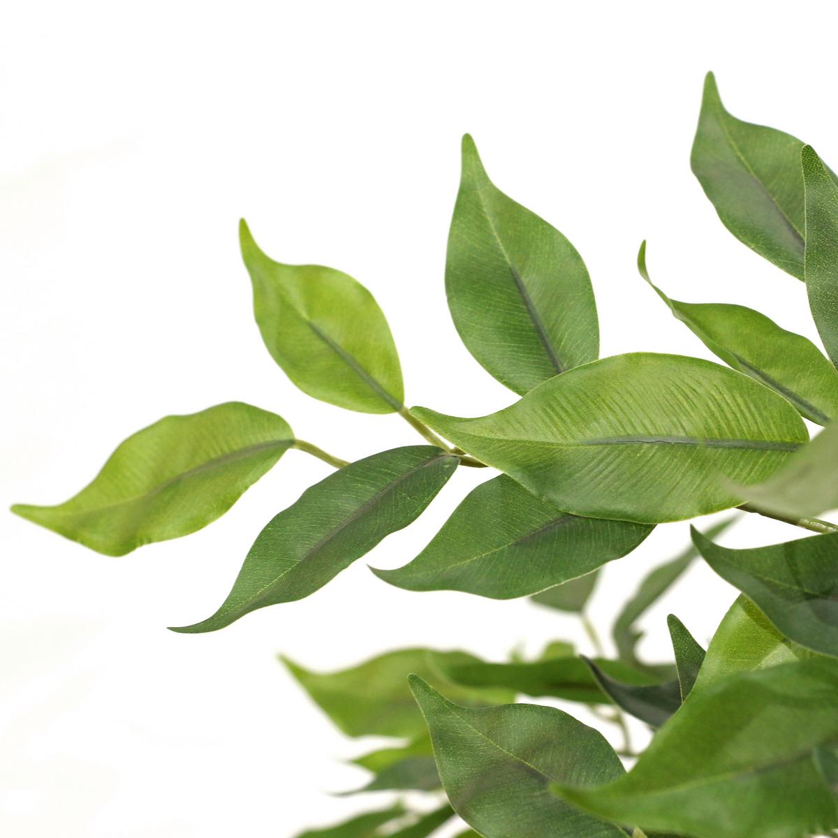 Umetna Rastlina Ficus I - črna/zelena, Basics, umetna masa (70/120/70cm) - MID.YOU
