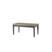 Dohányzóasztal Evora - zöld, Design, faalapú anyag (110/60/50cm)
