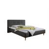 Polsterbett Slade Anthrazit ca. 100x200 cm - Anthrazit/Naturfarben, MODERN, Holz/Textil (100/200cm) - Livetastic