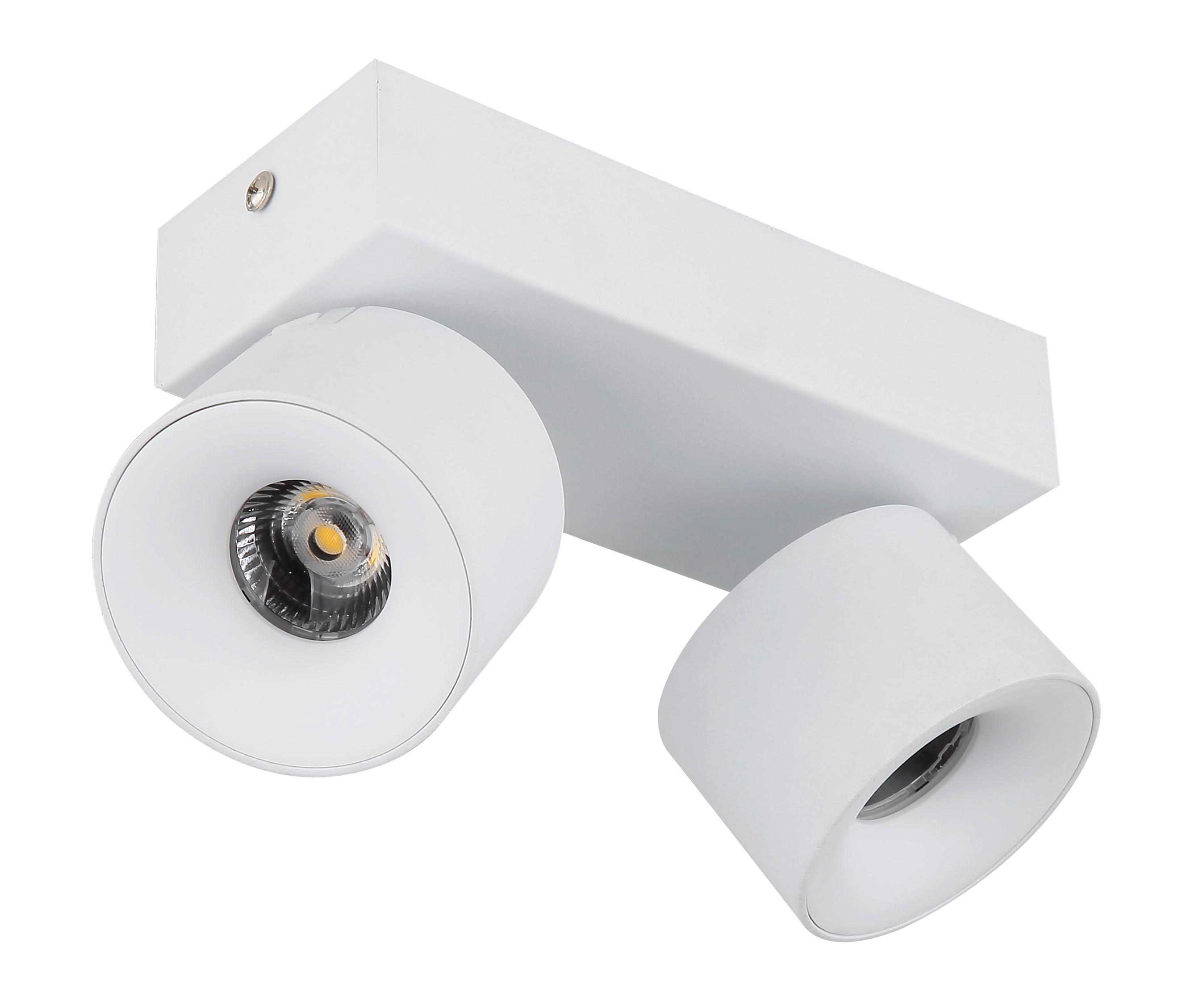 LED-STRAHLER 56961-2W RAE - Weiss/Transparent, Basics, Kunststoff/Metall (20.5/7.2/12cm) - Globo