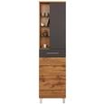 Hochschrank Anthrazit/Eichefarben - Chromfarben/Eichefarben, MODERN, Glas/Holzwerkstoff (50/194/33cm) - Premium Living Hochschrank Anthrazit/Eichefarben - Chromfarben/Eichefarben, MODERN, Glas/Holzwerkstoff (50/194/33cm) - Premium Living