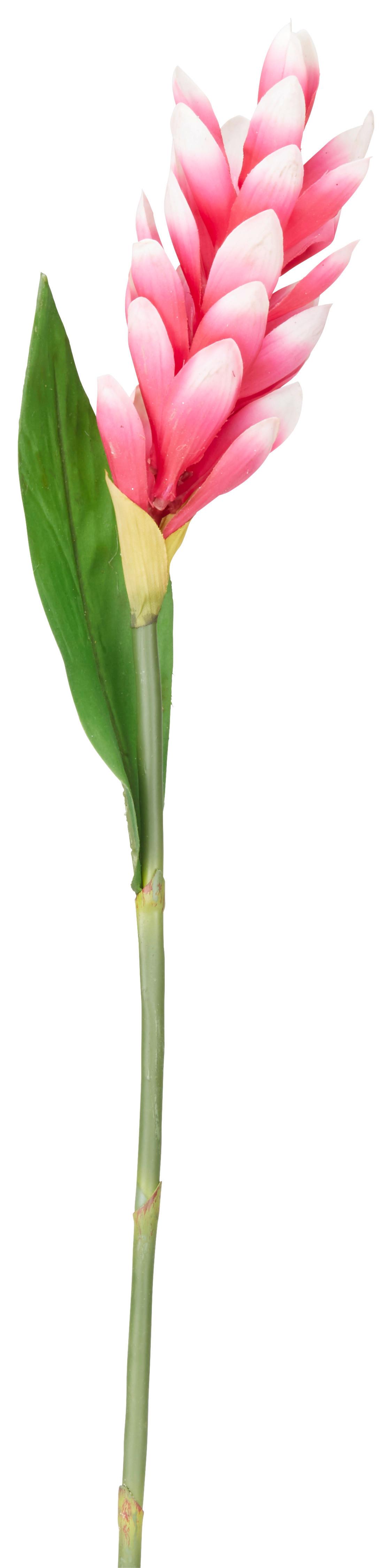 Floare artificială Siam Tulpe I - roz aprins/verde, Basics, plastic (60cm)