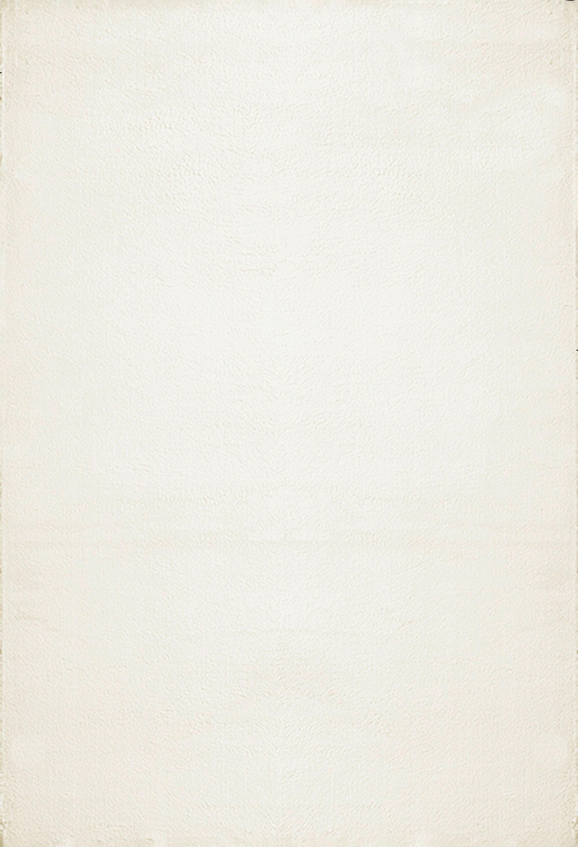 Fellteppich Loft Creme ca. 160x220cm - Creme, KONVENTIONELL, Textil (160/220cm) - Novel