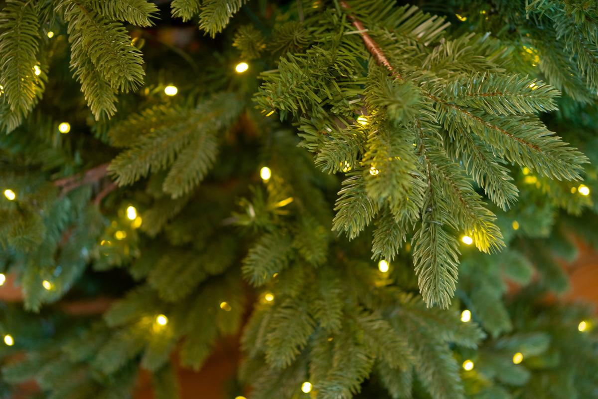 Weihnachtsbaum Roswell Grün H: ca. 150cm - Grün, Basics, Kunststoff (101/150/101cm)
