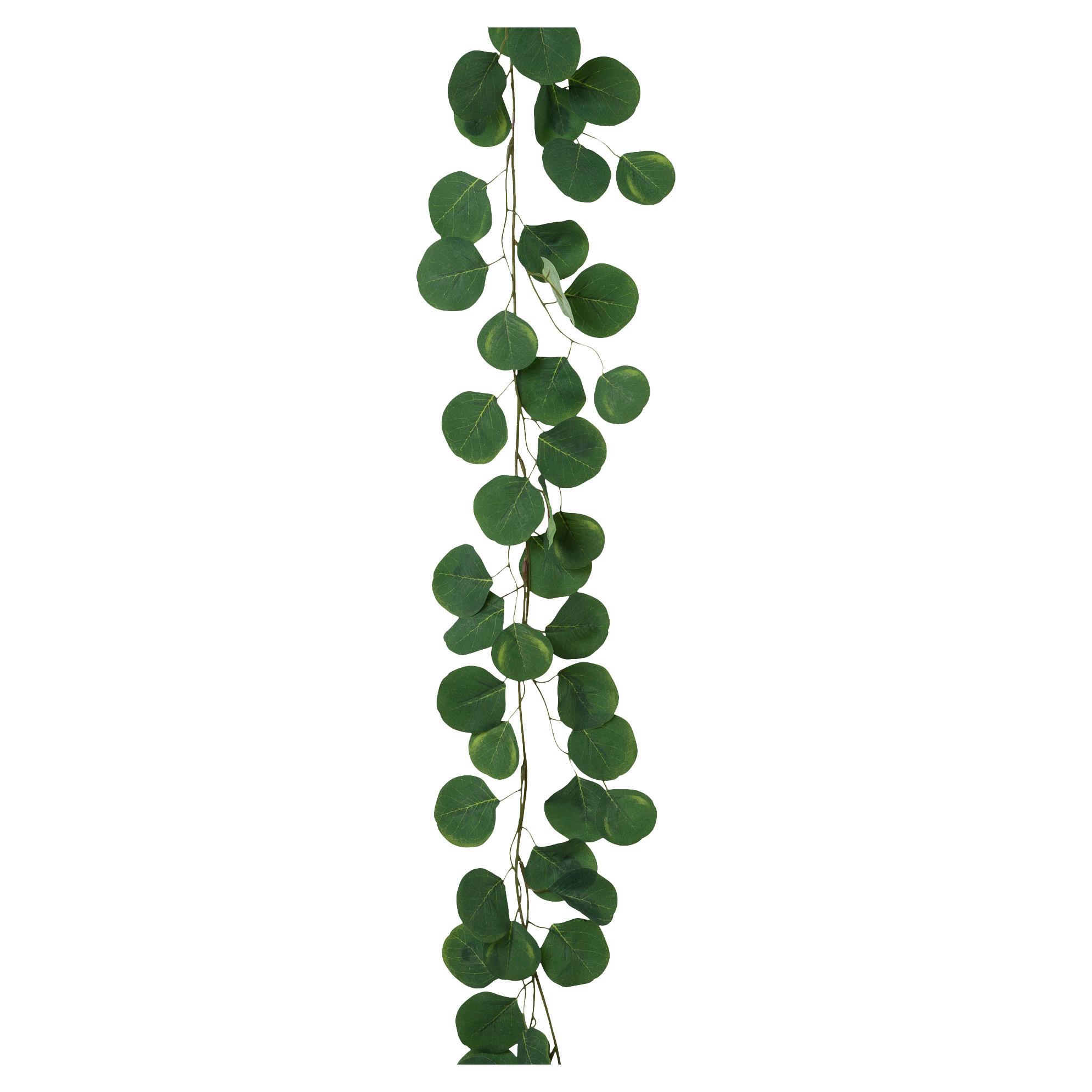 Umetna Rastlina Eukalyptusgirlande Ii - zelena/rjava, Konvencionalno, umetna masa (190cm) - Mömax