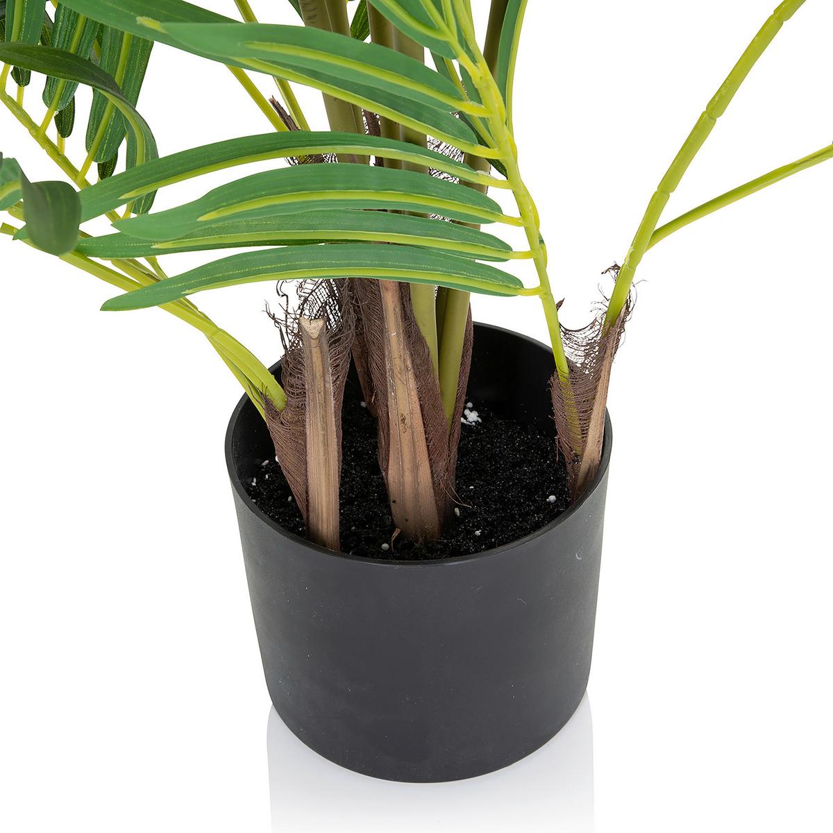 Umetna Rastlina Areca I - črna/zelena, Basics, umetna masa (70/120/70cm) - MID.YOU