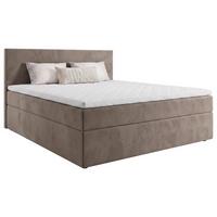 Boxbett Jupiter Plus Beige ca. 140x200cm - Beige/Schwarz, KONVENTIONELL, Holz/Kunststoff (140/200cm) - Based