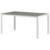 Gartentisch Break ca. 150x90 cm Grau/Weiß - Weiß/Grau, KONVENTIONELL, Holz/Metall (150/90/75cm) - Gardenson