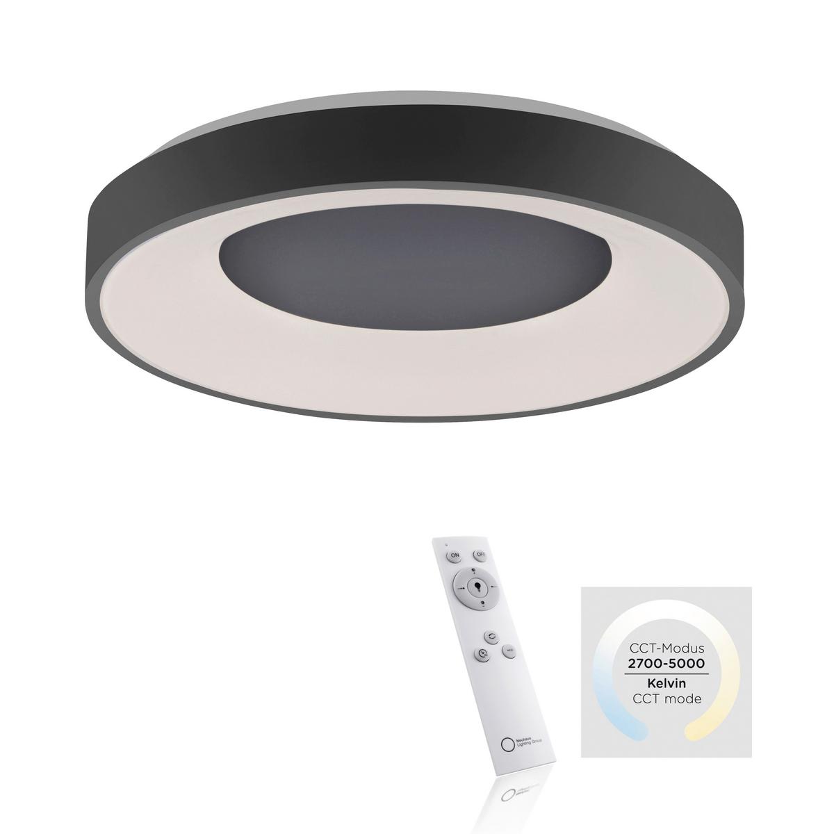 LED-Deckenleuchte Anika max. 30 Watt - Anthrazit, Basics, Kunststoff/Metall (48/7,8cm)