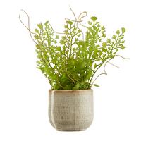 Okrasni Lonček Mood - bež, keramika (6,5/6,5cm) - Modern Living