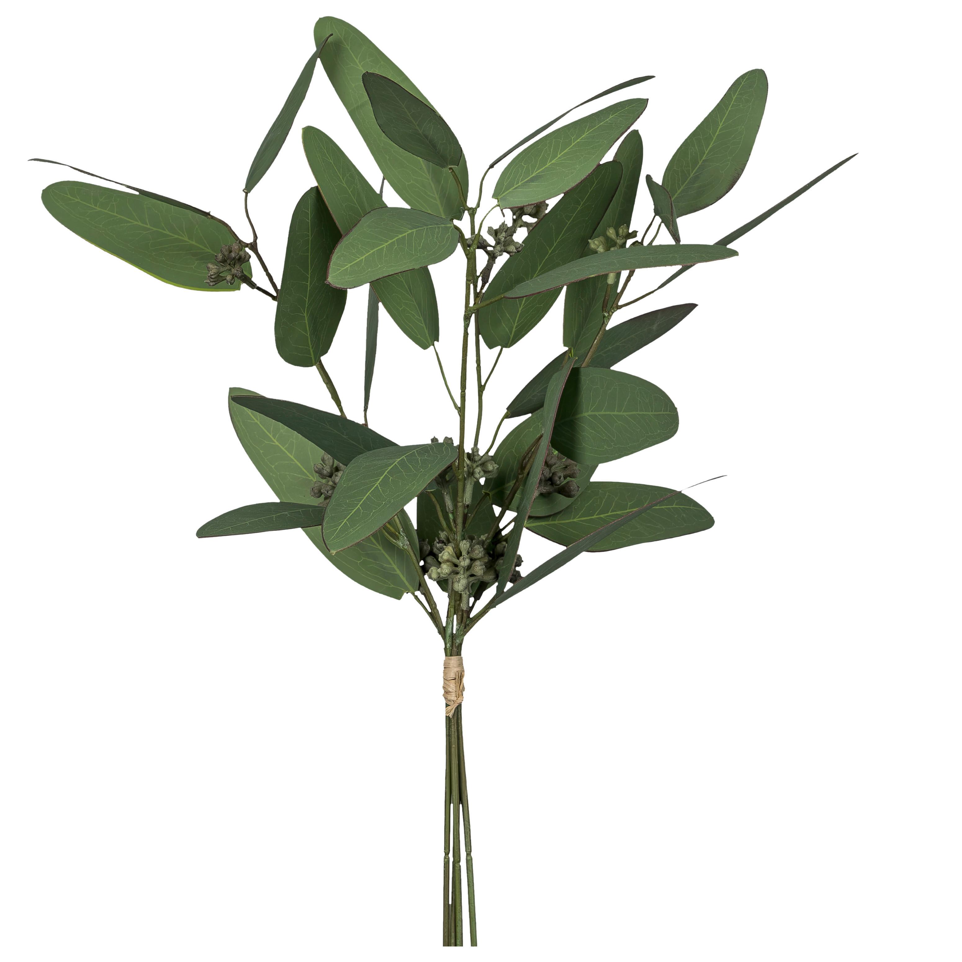 Biljka Umjetna Eukalyptusbund - siva/zelena, Konvencionalno, plastika (38cm) - Mömax