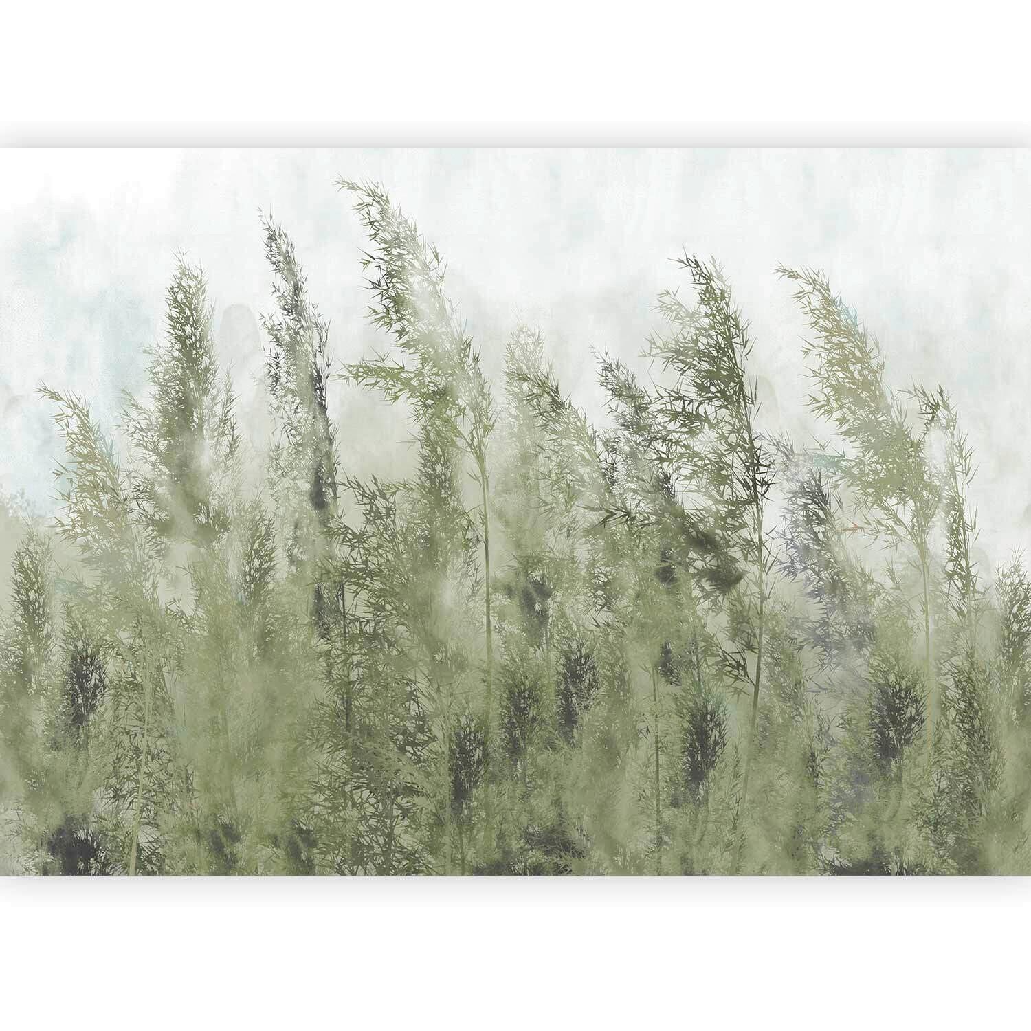 Fototapeta Tall Grasses, 400x280cm - sivobela/žajbljevo zelena, Trendi, tekstil (400/280cm) - artgeist