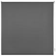 Rolo Za Pritrjevanje Daylight - siva, Moderno, tekstil (45/150cm) - Mömax modern living