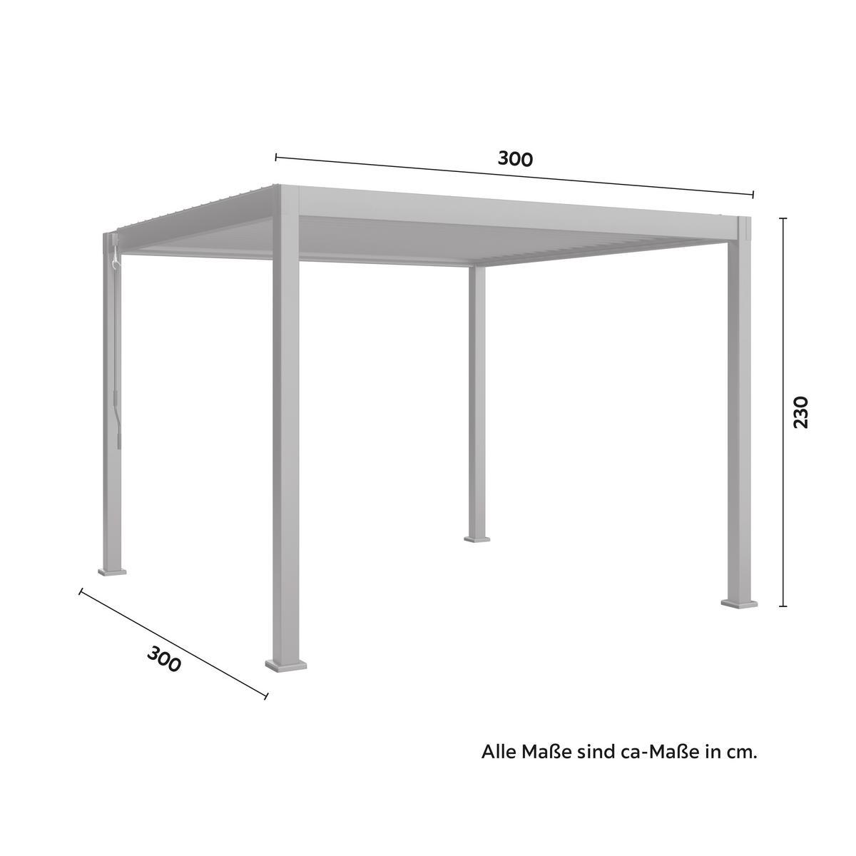 Pavillon Peri in Schwarz - Schwarz, Basics, Metall (300/230/300cm) - Mömax