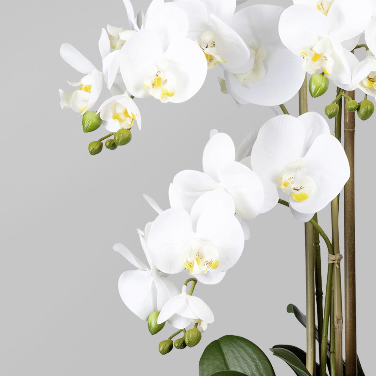 Kunstblume Orchidee, ca. 75cm - Schwarz/Weiß, Trend, Kunststoff (75cm) - P & B