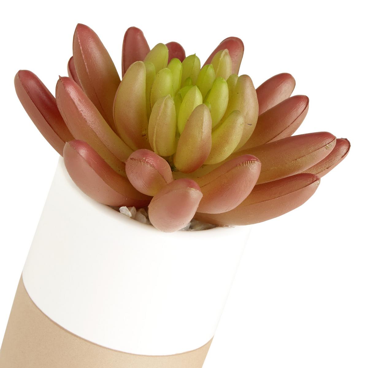 Műnövény Sukkulente - sárga/pink, műanyag/fém (15,5/19cm) - Modern Living