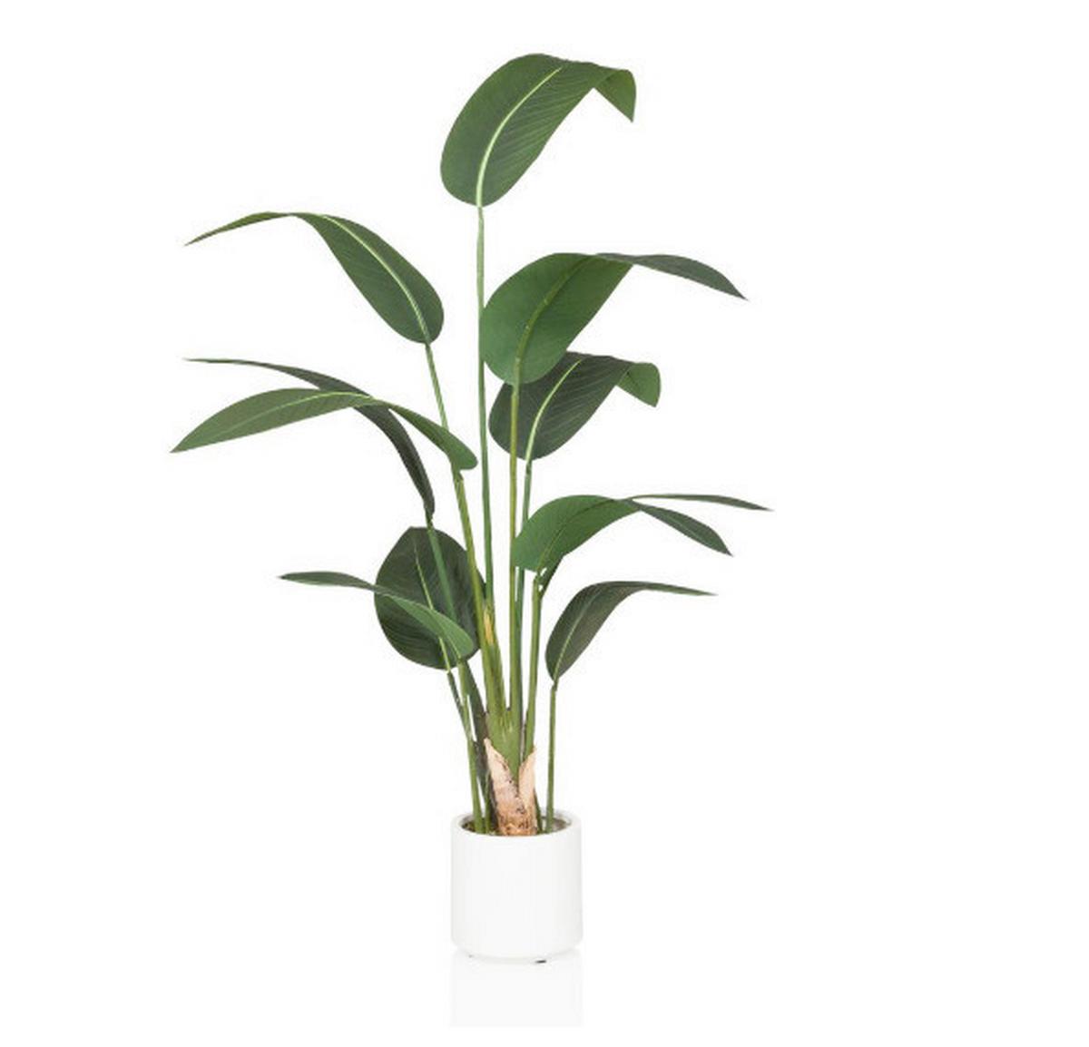 Umetna Rastlina Strelitzia - bela/zelena, Moderno, umetna masa (22/150/31cm) - MID.YOU