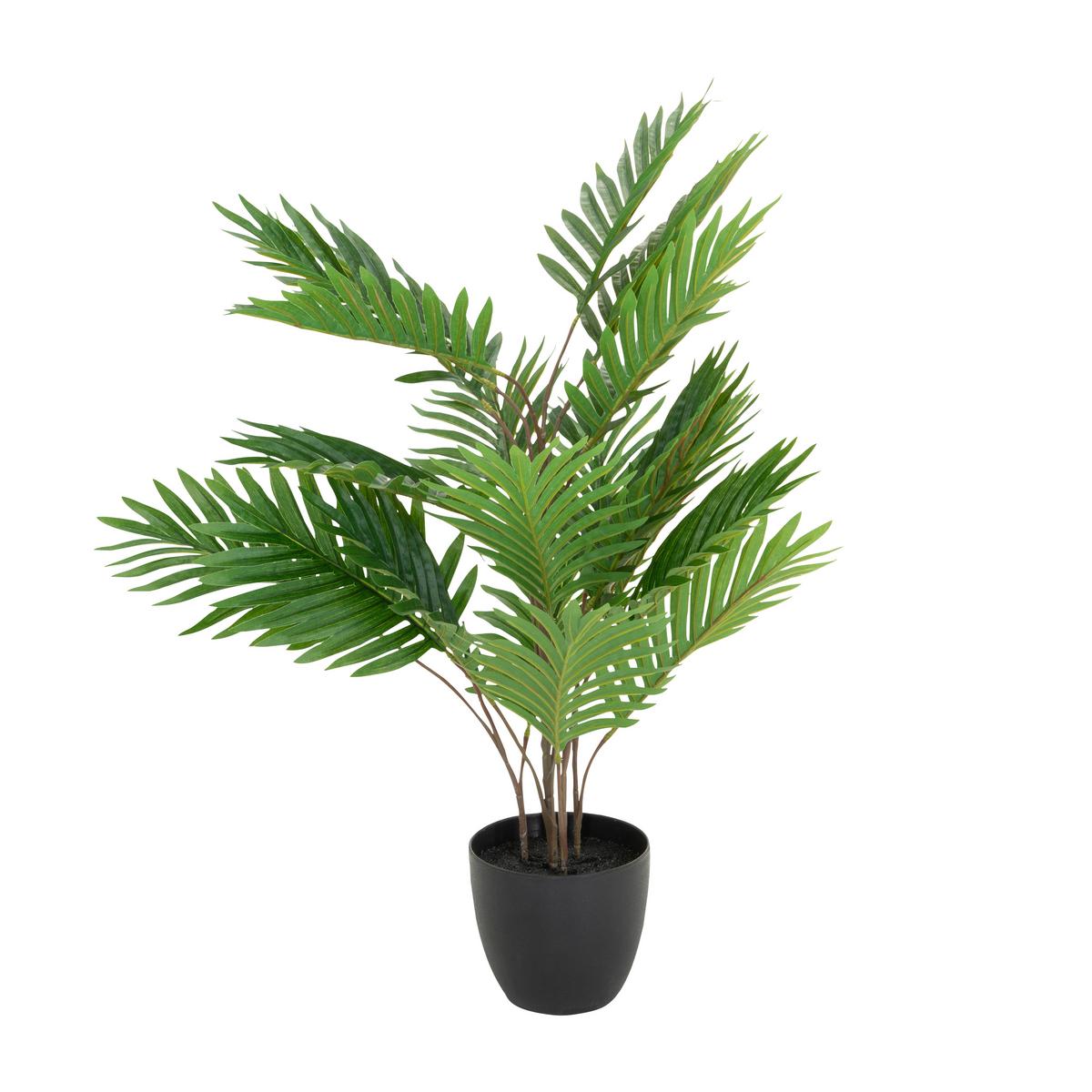 Umetna Rastlina Areca - črna/zelena, Basics, umetna masa/tekstil (60/70/60cm) - MID.YOU