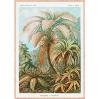 Bild Image ca. 50x70cm - Hellbraun/Multicolor, Holzwerkstoff/Papier (50/70cm) - Modern Living