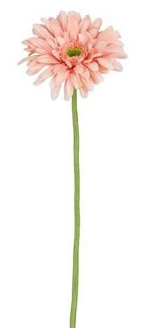 Umetna Roža Gerbera - Moderno (60cm) - Mömax