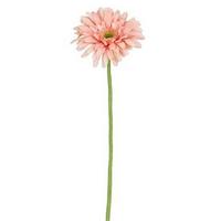 Umetna Roža Gerbera - Moderno (60cm) - Mömax
