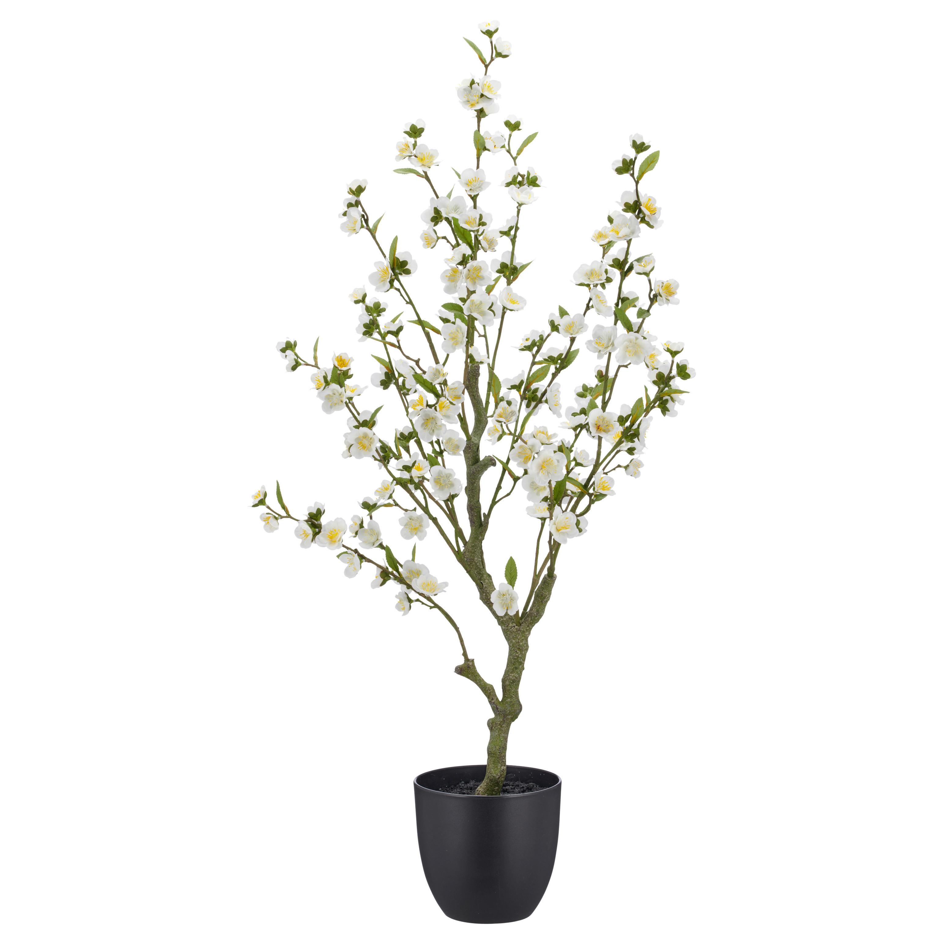 Kirschblütenzweig Kirschblüte Weiß ca. 105cm - Schwarz/Weiß, Basics, Kunststoff/Metall (105cm) - Mömax