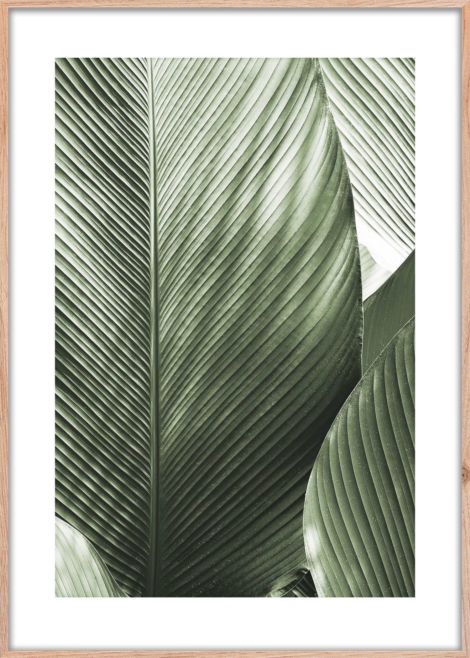 Bild Elena ca. 50x70cm - Hellbraun/Weiß, Holzwerkstoff/Papier (50/70cm) - Modern Living