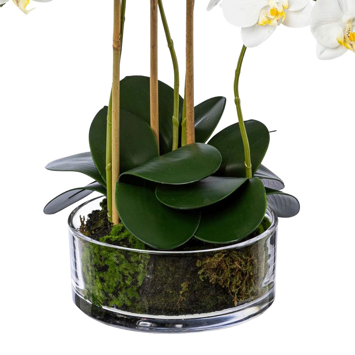 Kunstpflanze Weiß/Grün - Transparent/Weiß, Design, Glas/Kunststoff (50cm)
