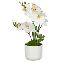 Kunstpflanze Weiß/Braun - Weiß/Braun, Basics, Keramik/Kunststoff (38cm)