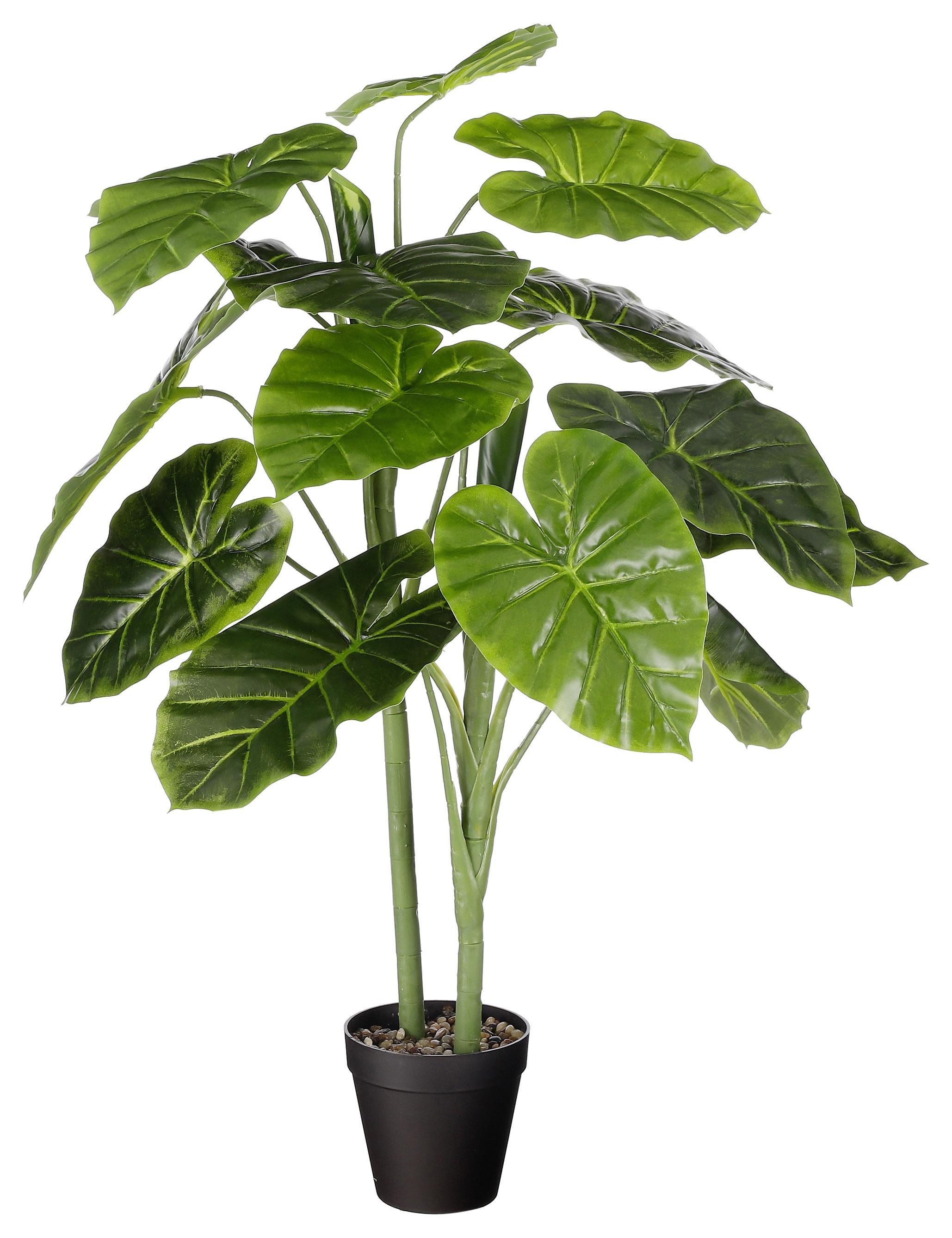 Kunstpflanze Alocasia in Grün ca. 100cm - Grün, Basics, Kunststoff (100cm) - Modern Living