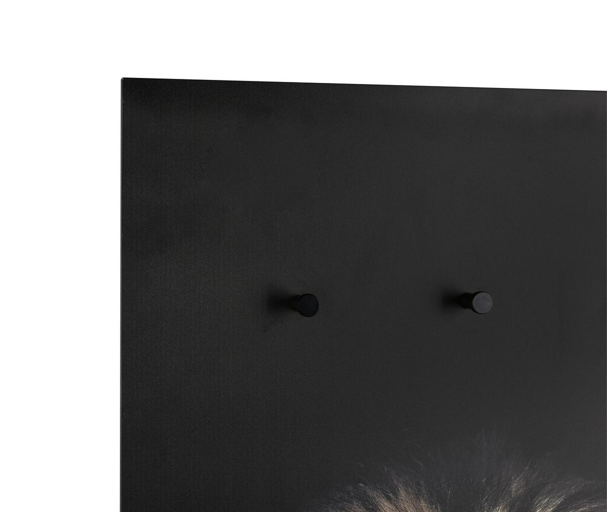 Wandgarderobe Kalea Löwe Multicolor - Multicolor, MODERN, Holzwerkstoff/Kunststoff (50/125/4cm) - Mömax