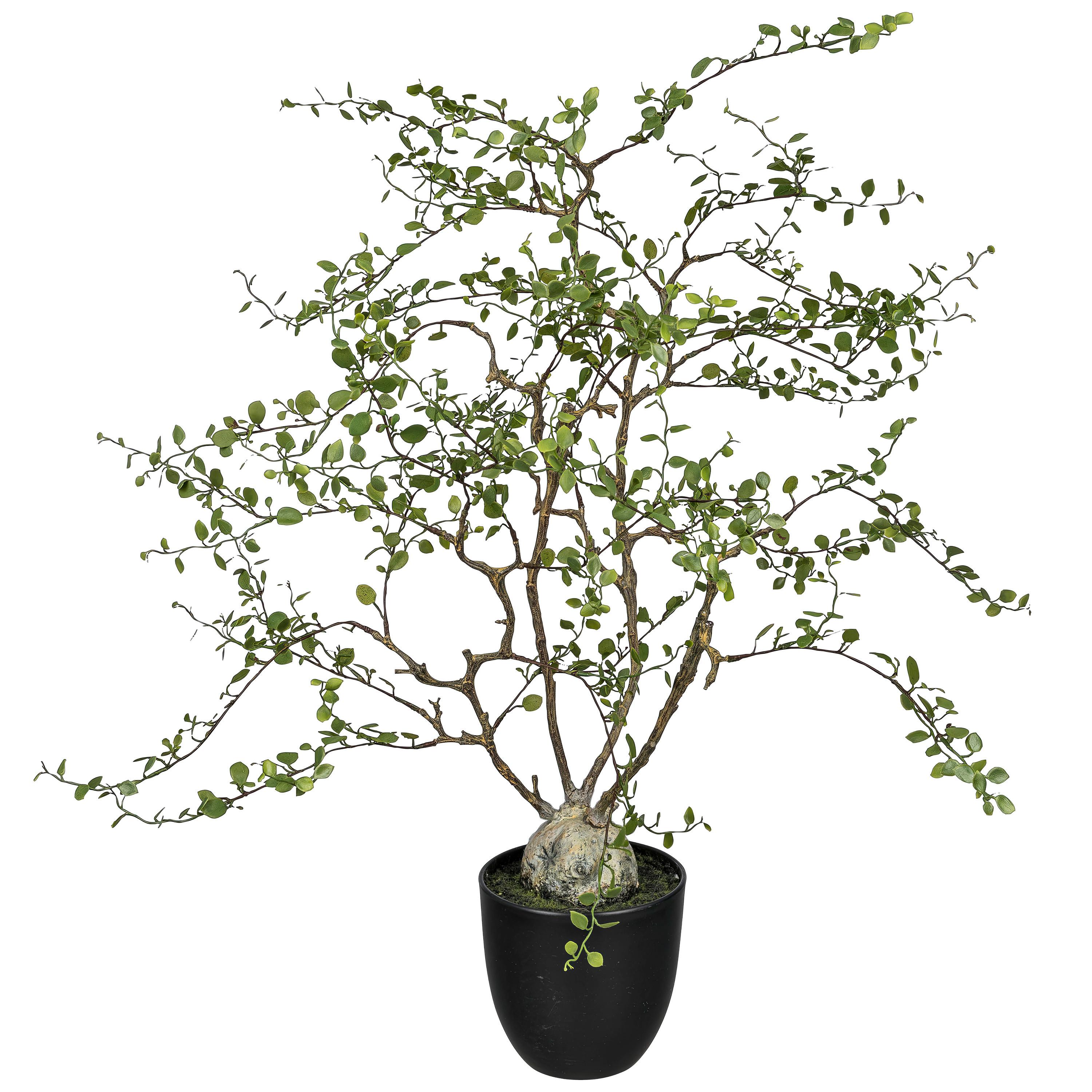ROŚLINA DEKORACYJNA 1125051XX-50 - zielony, Basics, tworzywo sztuczne (91cm)