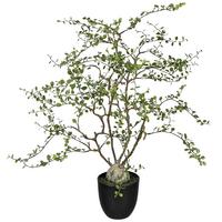 ROŚLINA DEKORACYJNA 1125051XX-50 - zielony, Basics, tworzywo sztuczne (91cm)