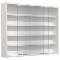 Viseča Vitrina Agisa L, Bela - srebrne barve/bela, Moderno, steklo/leseni material (77/60/10cm) - MID.YOU