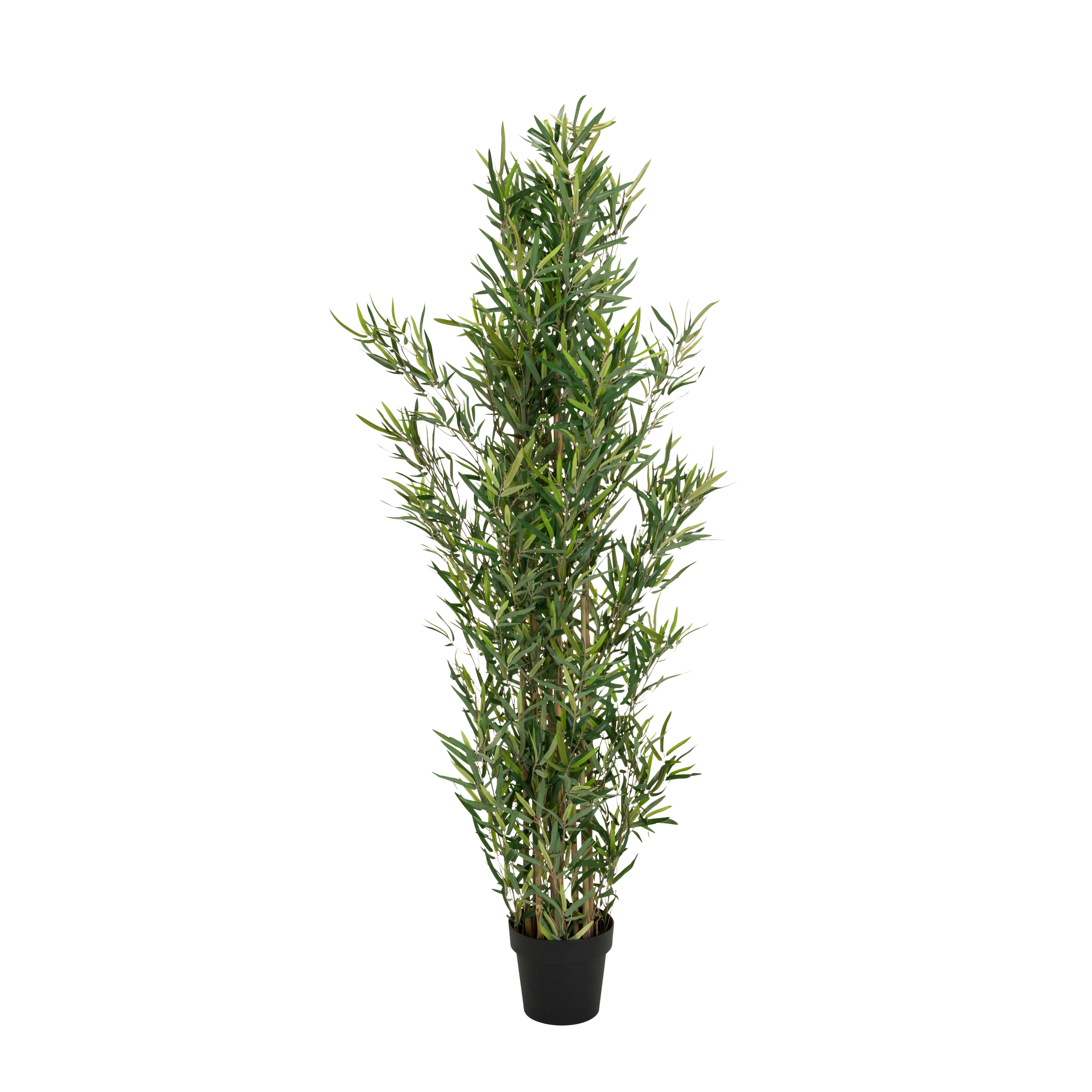 Umetna Rastlina Bambus - črna/zelena, Basics, umetna masa/tekstil (70/165/70cm) - MID.YOU