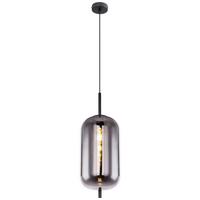Viseča Svetilka 15345h2 Blacky - črna, Design, kovina/steklo (22/120cm) - Globo