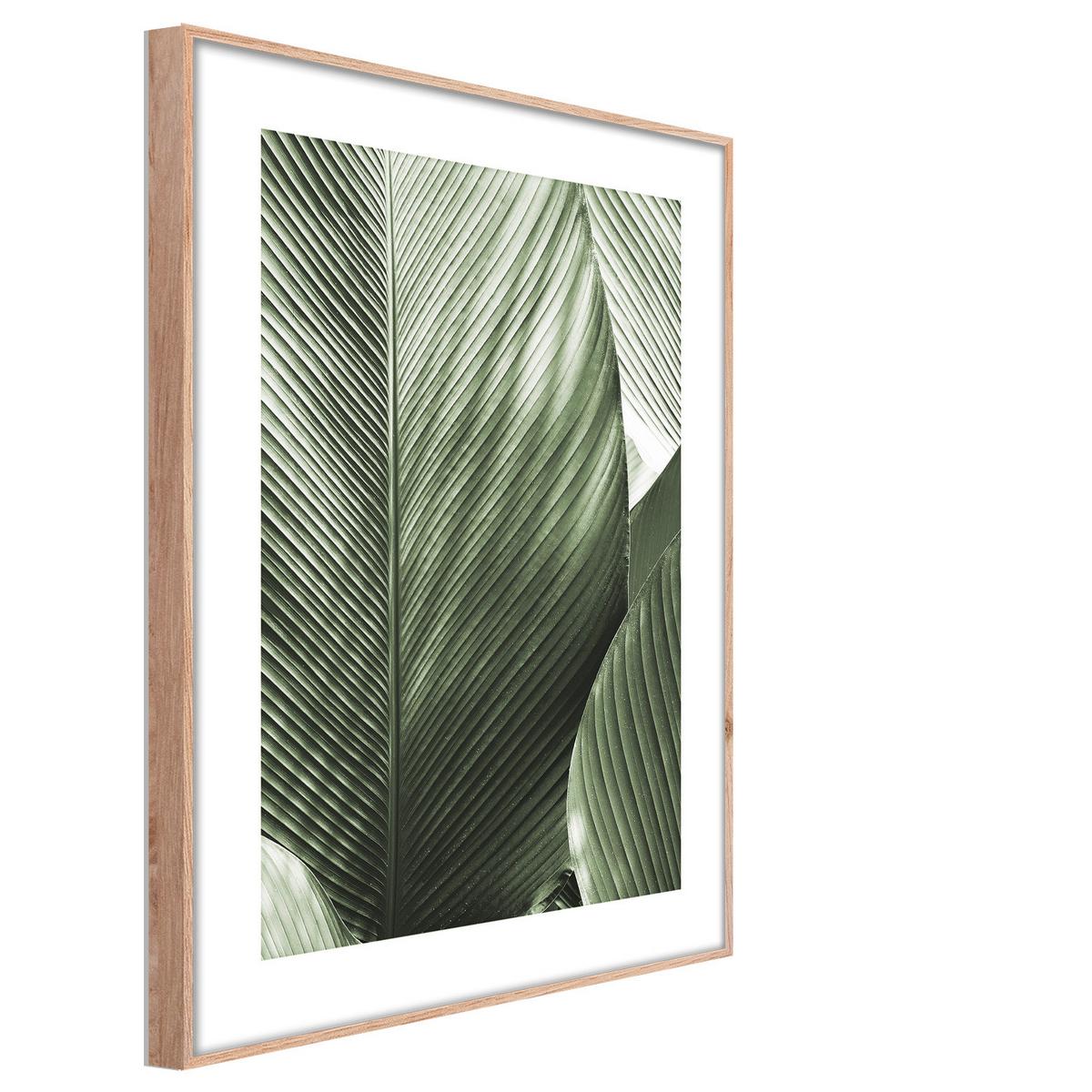 OBRAZ ELENA - zielony/biały, materiał drewnopochodny/papier (50/70cm) - Mömax