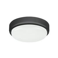 Plafonieră de exterior HORT 15W - plastic (19/5.95/5.95cm)