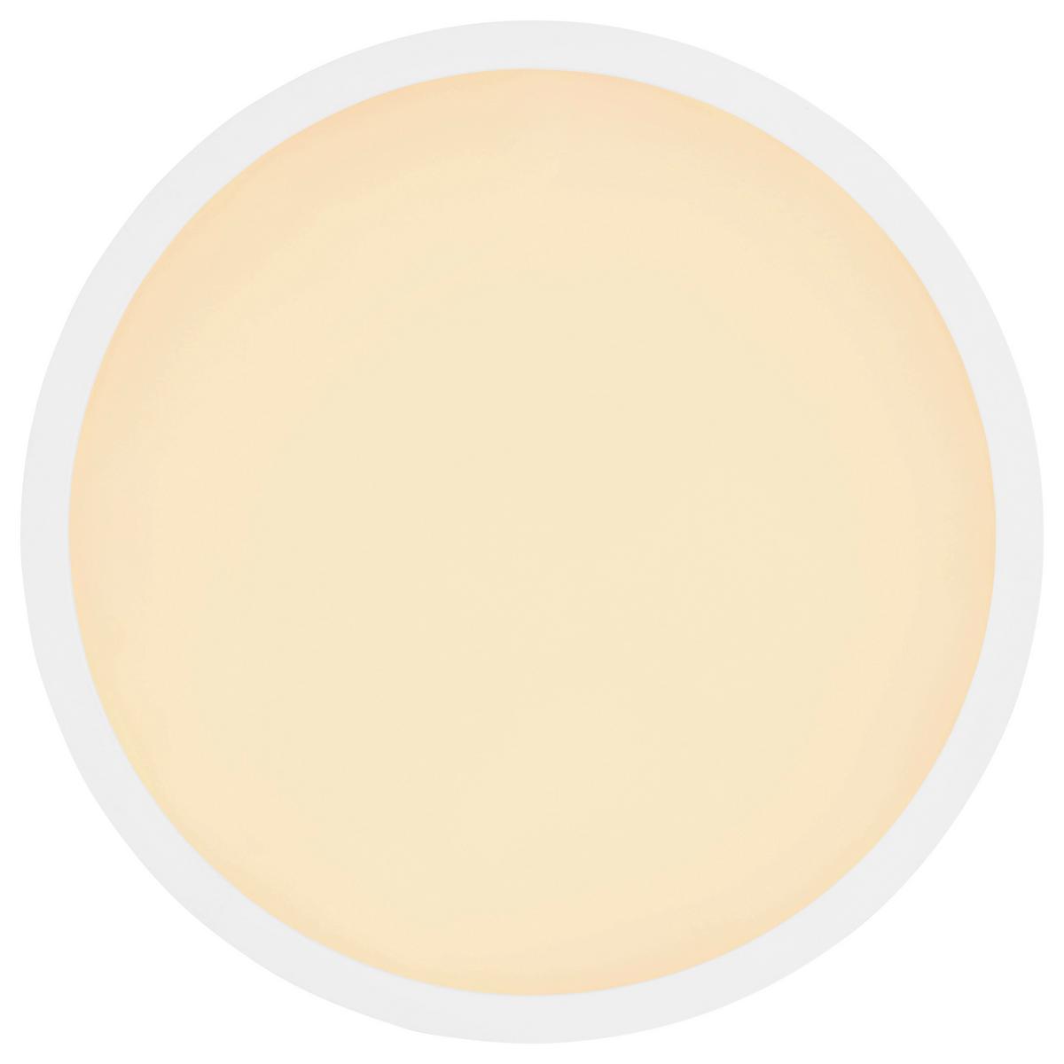 Stropna Led-svetilka Sapana, S Sijalko - bela/opal, Basics, umetna masa (42/2,5cm)