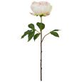 Kunstblume PEONIE I Rosa - Dunkelgrün/Rosa, Basics, Kunststoff (59cm) Kunstblume PEONIE I Rosa - Dunkelgrün/Rosa, Basics, Kunststoff (59cm)