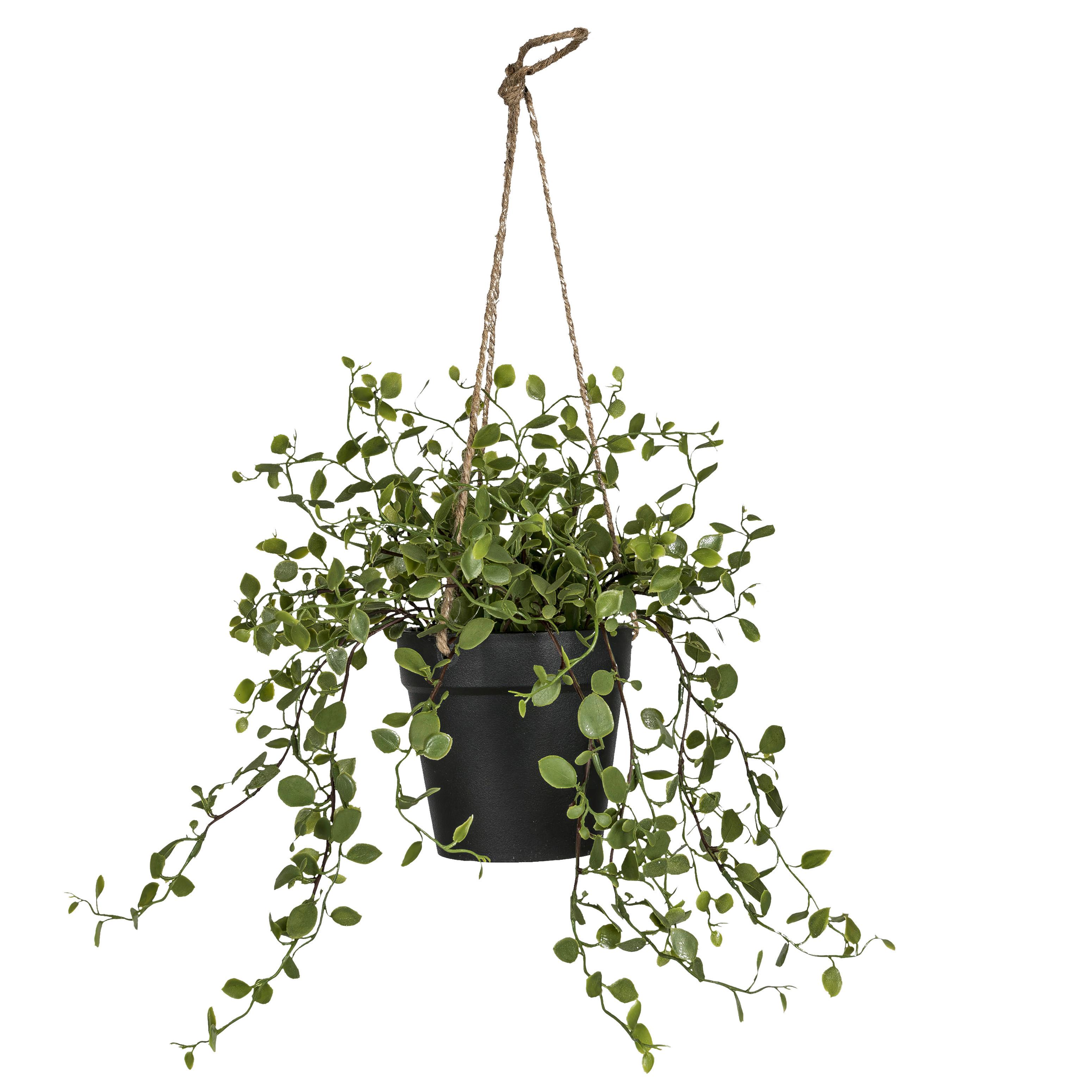 Umetna Rastlina String Of Nickels - zelena, Basics, kovina/umetna masa (31cm) - Mömax