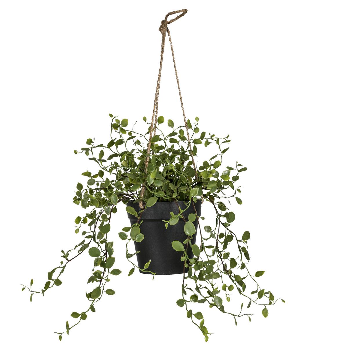 Umetna Rastlina String Of Nickels - zelena, Basics, kovina/umetna masa (31cm) - Mömax