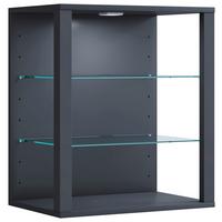 Viseča Vitrina Glasol S, Antracit - antracit, Design, steklo/leseni material (52/60/35cm) - MID.YOU