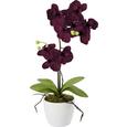 Plantă Artificială Orchidee - roz aprins/mov, plastic/metal (11/60cm) - Mömax modern living Plantă Artificială Orchidee - roz aprins/mov, plastic/metal (11/60cm) - Mömax modern living