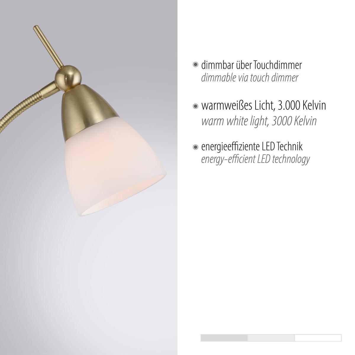 LED-Stehleuchte Pino Dimmbar max. 2,6 Watt - Basics (74/74/163cm) - Paul Neuhaus