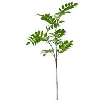 Okrasna Vejica Eberesche I - zelena/rjava, Konvencionalno, umetna masa (135cm) - Mömax